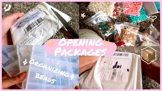 Opening Packages 📦 // No Talking ✨