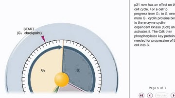 P53 animation - tumor supressor gene animation