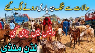 Halat Se Tang Beopari Rone Lag Gaye! | Luddan Mandi Latest Update | Cow Price 2026