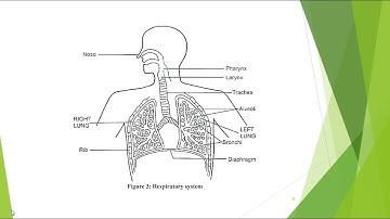 KTU | EE 372 | BIOMEDICAL INSTRUMENTATION | S6 EEE | QUICK REVISION |