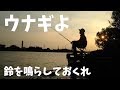 ウナギ釣りたい ブッコミ釣りに挑戦だ！