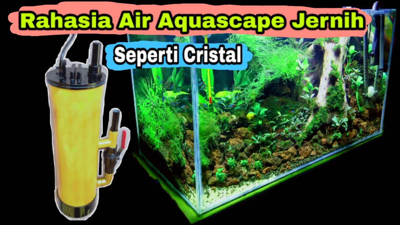 Cara Membuat Air Aquascape Jernih Bening Seperti Cristal Youtube Membuat air aquascape jernih Cara Membuat Air Aquascape Jernih Bening Seperti Cristal Youtube Membuat air aquascape jernih