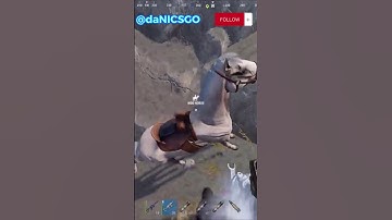 Best Rust TWITCH HIGHLIGHTS #6