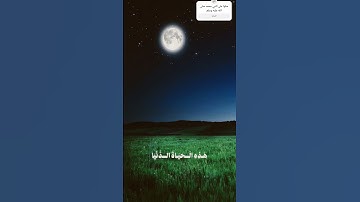 تلاوة عطرة للشيخ المرحوم محمد صديق المنشاوي رحمه الله تعالى #قران_كريم #لايك #اكسبلور #تلاوة