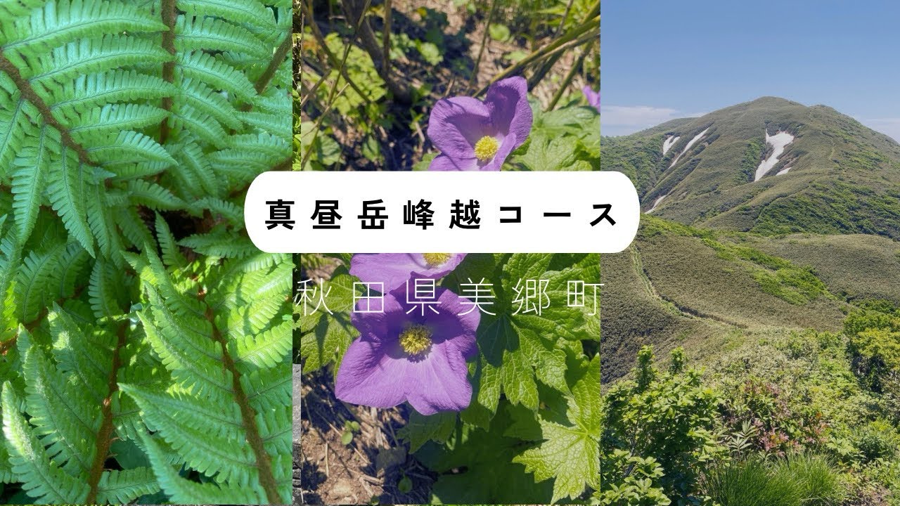 Mt. Mahiru Mine-Goe Course] The Thrill of Ridge Walking and a