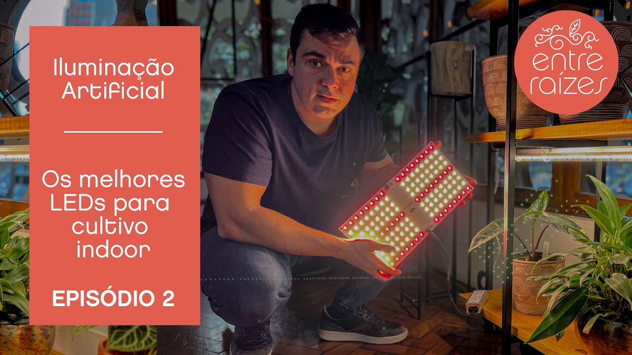 Luzes Artificiais para Cultivo - Iluminação Grow Light - Ep. 02