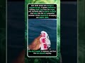 The Ocean Responded After This Simple Act