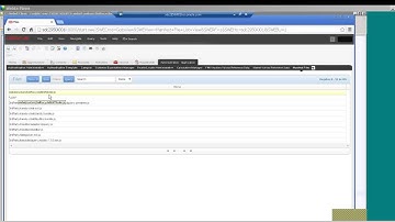 Siebel OpenUI Tutorial - Steps to customize Open UI Presentation Model class