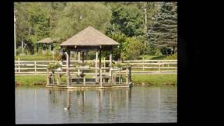 262 B The Ponds Banner Elk, NC