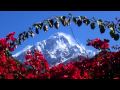 Howard Jones - Dreamin' On