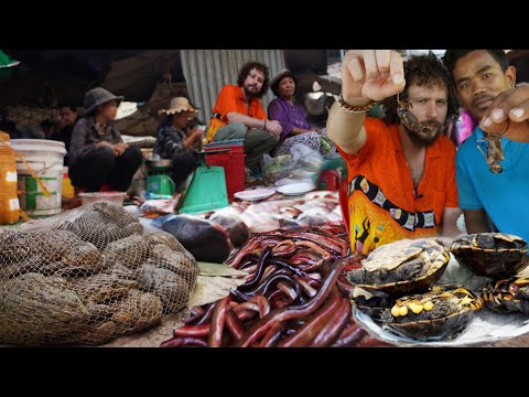 Video: Los mejores mercados húmedos de Hong Kong