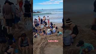 Relaxing at Coromandel Hot Water Beach – New Zealand's Natural Hot Springs!#relaxing #beach  #summer