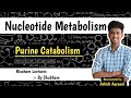 Catabolism Of Purine Nucleotides || Nucleotide Metabolism || Biochemistry Lectures