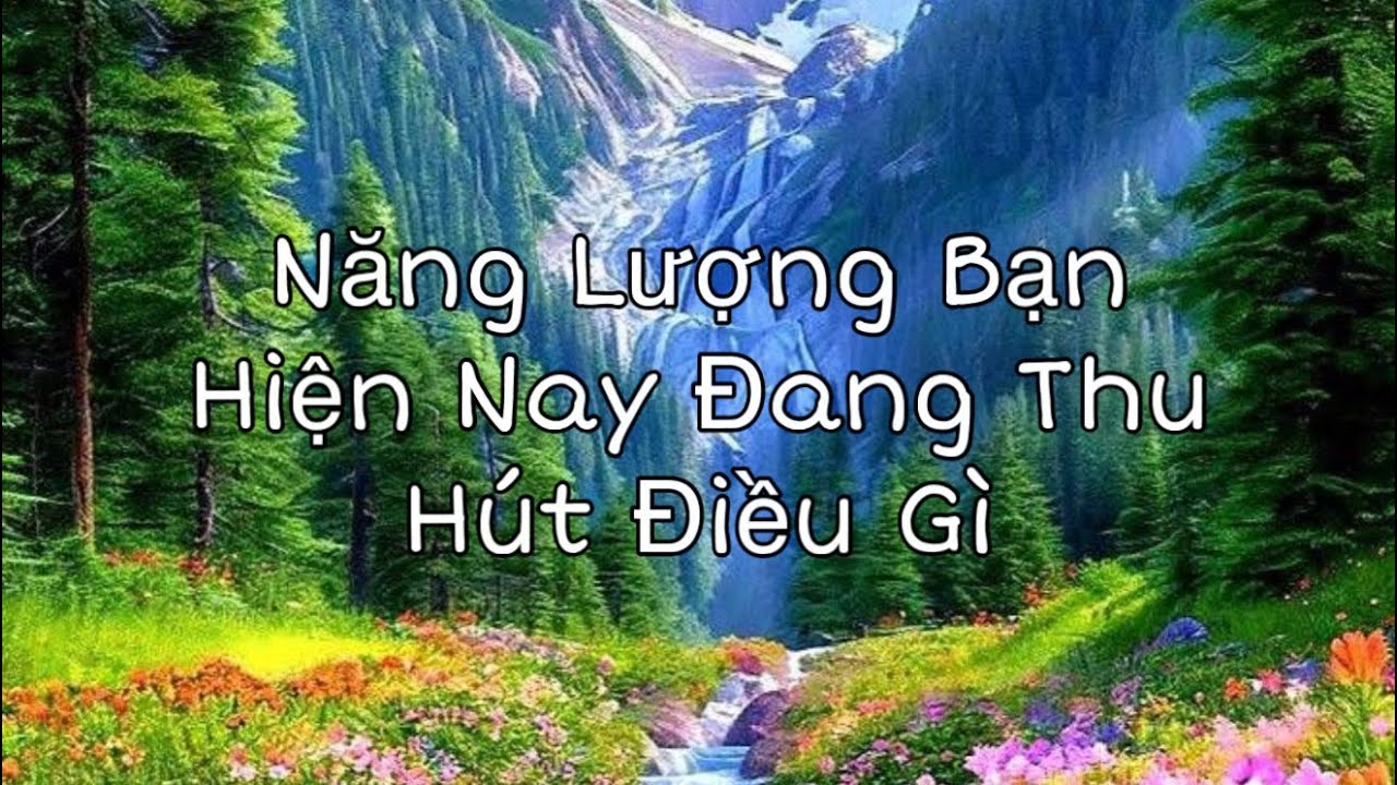 Năng Lượng Bạn Hiện Nay Đang Thu Hút Điều Gì , @AnnChildofLight 