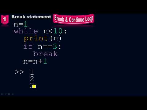 Execute the while loop with the break statement to take a mid break - Python by #Moein
