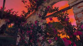 Download Just Look At The Beauty Around You.#yournaturegram#nature Video MP3 Just Look At The Beauty Around You.#yournaturegram#nature