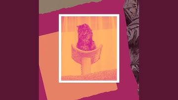 Spacious Waltz - Vibe for Lazy Cat Days