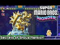 Super Mario Bros Wonder - Secrets of Shova Mansion 100% (All Seeds, Coins + Secret Exit)