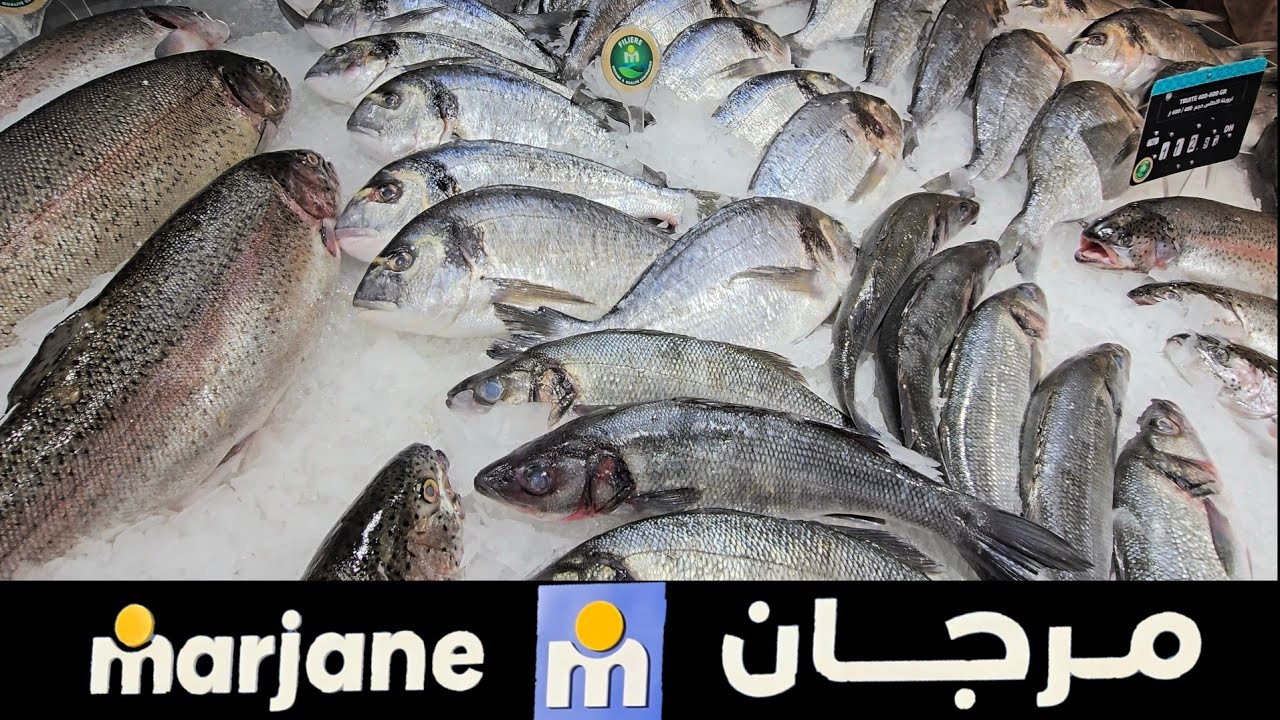 أسماك متنوعة وطرية من داخل سوق مرجان العيون Marjane Laayoune