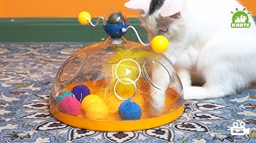 TACKDG Cat Treasure Chest Interactive Toys Indoor Puzzle toy Kitten Tack Catnip Balls Kitty Treat