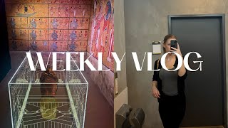 Weekly Vlog : Exposition Toutankhamon, Focaccia Maison, Dernier jour d'école, Brunch... | bjorgit