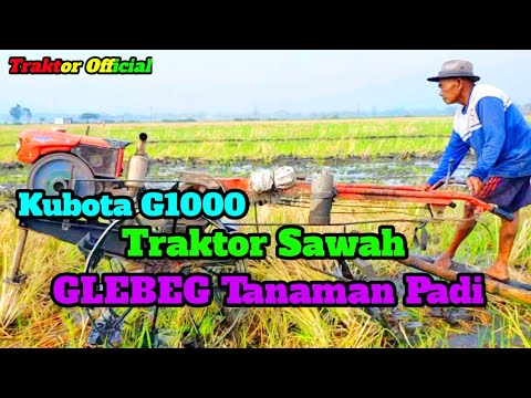 Cara kerja Traktor Sawah GLEBEG Tanaman Padi YouTube Cara kerja Traktor Sawah GLEBEG Tanaman Padi YouTube