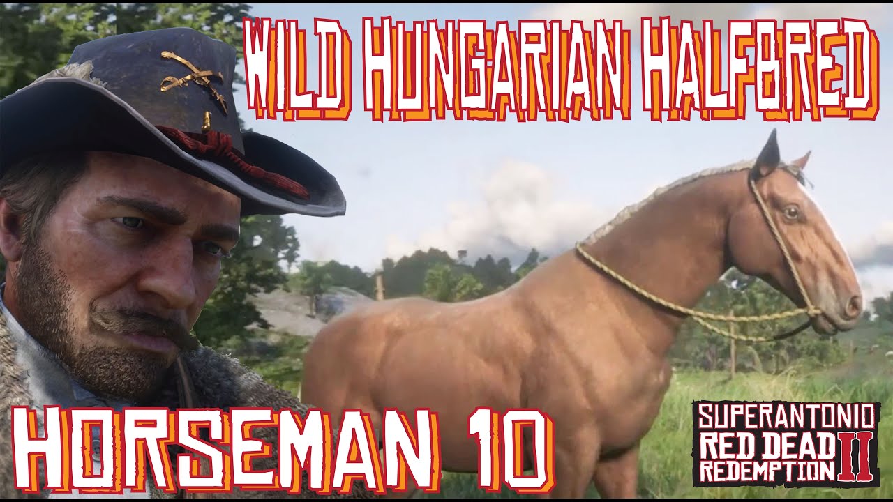 tak skal du have Invitere Lignende A Wild Hungarian Halfbred Location For Horseman 10 With Arthur in Red Dead  Redemption 2 - YouTube