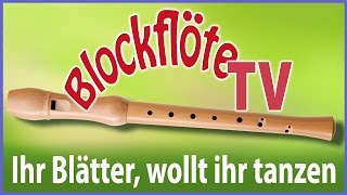 Vignette de la vidéo "Ihr Blätter wollt ihr tanzen • deutsche Blockflöte"