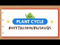 Understanding Stomata and Their Functions