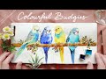 Colourful Budgies: Watercolor Tutorial