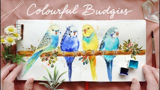 Colourful Budgies: Watercolor Tutorial