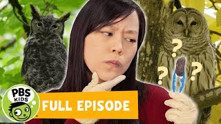 Mega Wow | What's Inside Owl Pellets? | PBS KIDS
