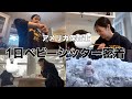 【アメリカ　8時間のベビーシッターのリアル】#アメリカ #vlog #おすすめ #保育士 #英語