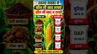 स्वस्थ मक्का🌽🌽 में कौन सी खाद लगाएं #shorts #farming