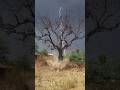 #2026 #friend #viral #shorts #cyclone #thunderstorm #share #like #weather #farming #tree #current