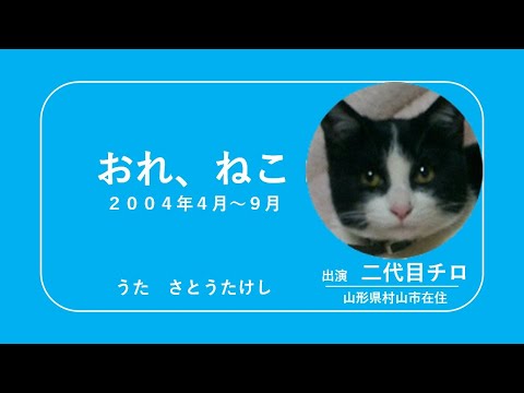TIRO200409おれねこ（二代目チロ）