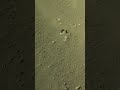 Sol 1,701: This Navcam shot was quietly taken 53 sols before anyone voted it image of the week 👀🔴