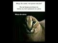 Me passei