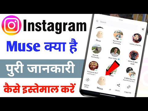 What is Muse on Instagram | What does Muse mean on Instagram
