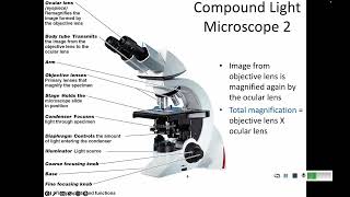 3.1 How Microscopes Work