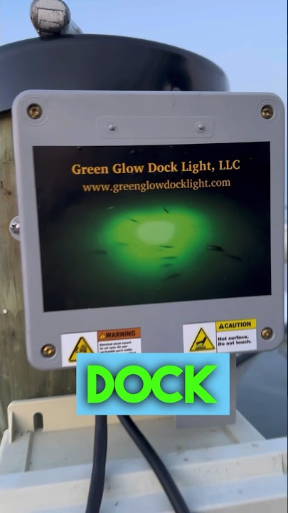 Green Underwater Dock Light- Day 1 #chesapeak #fishing #crabbing 