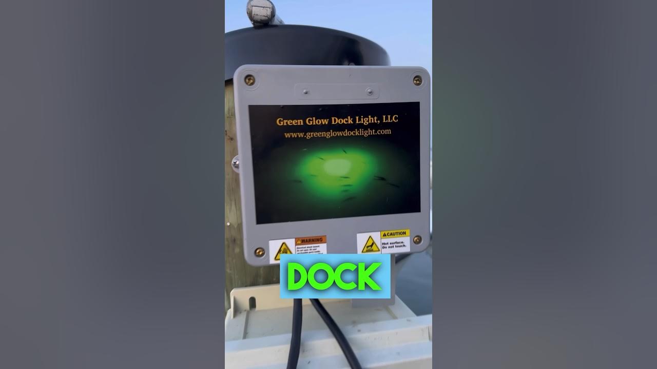 Green Underwater Dock Light Day 1 chesapeakebay fishing crabbing