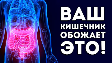 8 Продуктов, в Которые Влюблен Ваш Кишечник (Побалуйте его)