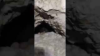 Moment Palestinians rescue children from rubble in Gaza #viral