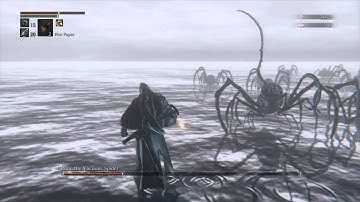 Bloodborne™_Rom The Vacuous Spider