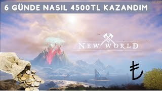 6 Günde Nasıl 4500 TL Kazandım? Hangi Adımları İzledim? New World