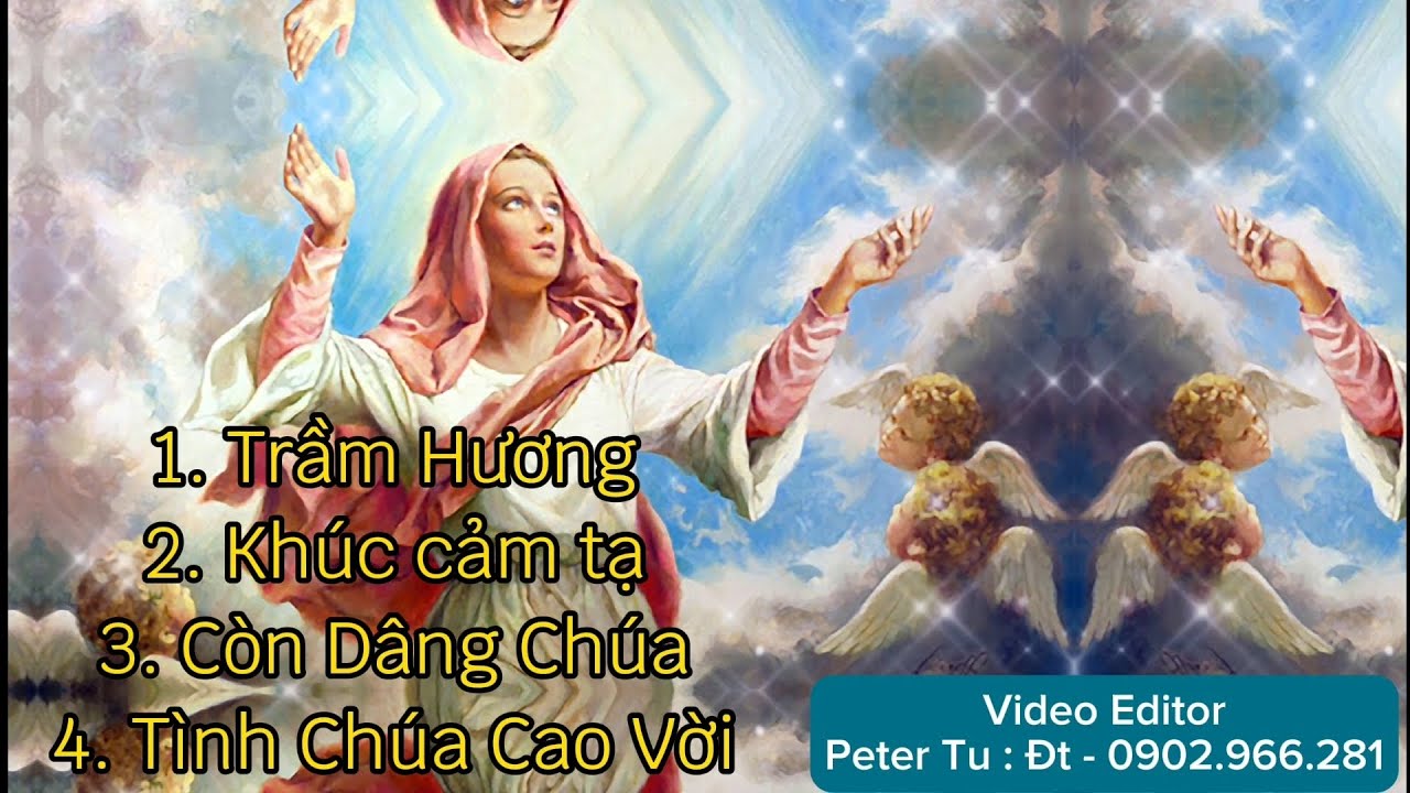 Thánh Ca Đức Bà Ban Ơn 2025 !