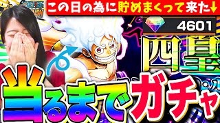 【バウンティ】約800連ガチャ!新四皇ニカルフィ当るまでとにかくガチャ!出して使ってみる LIVE【ワンピース バウンティラッシュ】