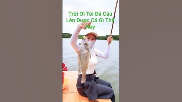 Tưởng Câu trúng cá to ai ngờ… kéo lên cái này!? 😱 |Câu cá vui  Funny fishing #shorts| #food #fishing