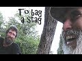 To bag a stag - 2017